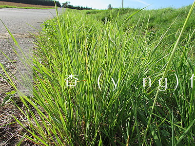 檢查應(yīng)付薪酬需防范哪些問題