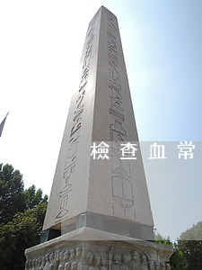 檢查血常規(guī)多少錢