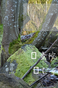 檢查院免起訴指標(biāo)需要花多少錢(qián)(檢查院免起訴指標(biāo)需要花多少錢(qián))