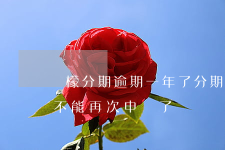 檸檬分期逾期一年了(分期樂逾期一天是不是不能再次申請了)