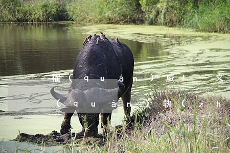 權(quán)威!一文搞懂有限公司股權(quán)執(zhí)行要點及救濟