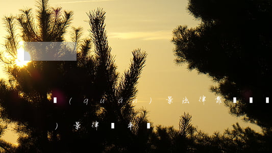 權(quán)景法律靠譜嗎(權(quán)景律師平臺)