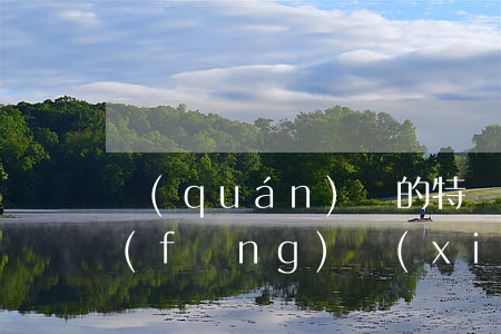 權(quán)證的特點(diǎn)和風(fēng)險(xiǎn)