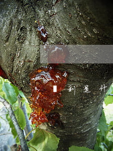 權利是什么意思(民事權利是什么意思)