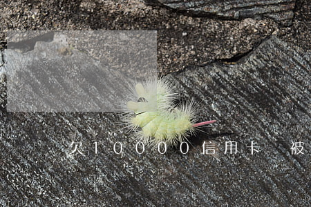 欠10000信用卡會被立案么-