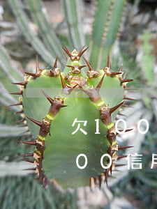 欠10000信用卡會被起訴嗎-欠10000信用卡會被起訴嗎