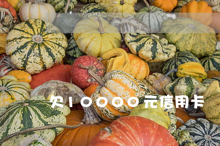 欠10000元信用卡