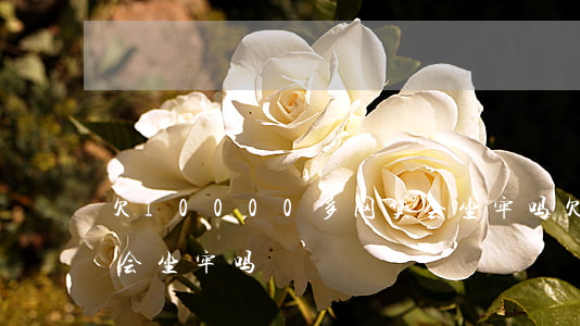 欠10000多网贷会坐牢吗(欠网贷两万多会坐牢吗)