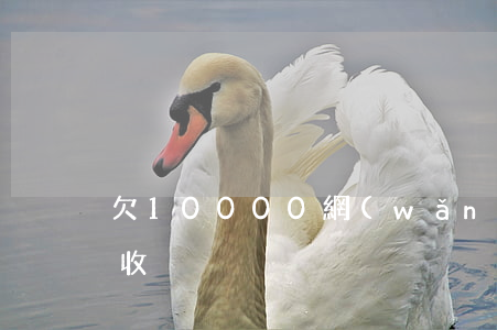 欠10000網(wǎng)貸會上公司催收