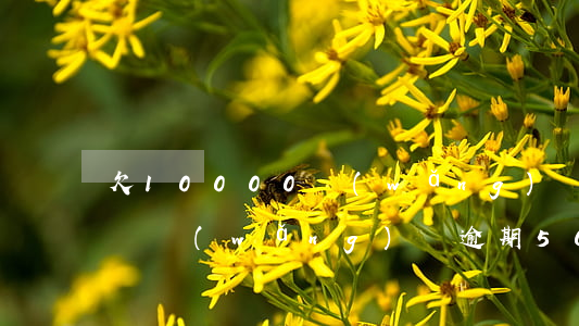 欠10000網(wǎng)貸逾期會封車嗎(網(wǎng)貸逾期5000會判刑嗎)