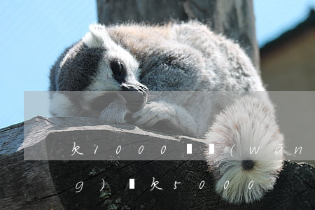欠1000塊網(wǎng)貸(網(wǎng)貸欠5000)