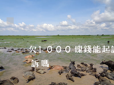 欠1000塊錢能起訴嗎（欠錢1000能起訴嗎）