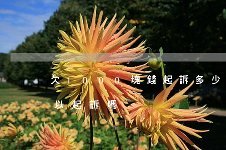 欠1000塊錢起訴多少錢(欠錢2000可以起訴嗎)