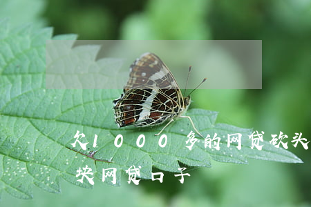欠1000多的网贷砍头息平台-1000块网贷口子