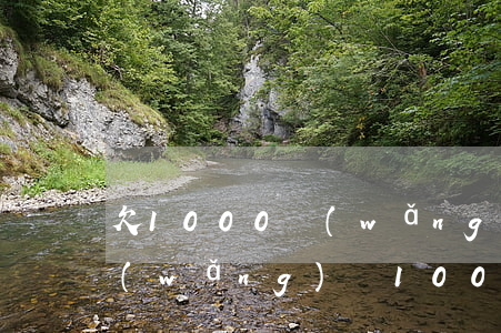 欠1000網(wǎng)貸利息超高(欠網(wǎng)貸1000多塊錢會(huì)立案嗎)