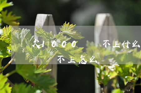 欠1000萬還不上什么后果-欠1000萬還不上怎么辦