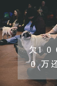 欠100万网贷还不上怎么办(网贷欠了100万还不起怎么办)