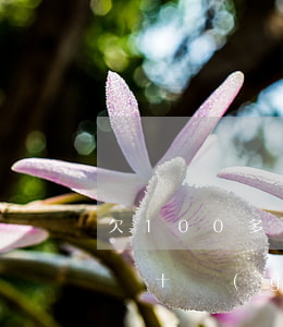 欠100多個(gè)網(wǎng)貸(欠幾十個(gè)網(wǎng)貸)