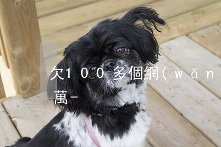 欠100多個網(wǎng)貸差不多十多萬-