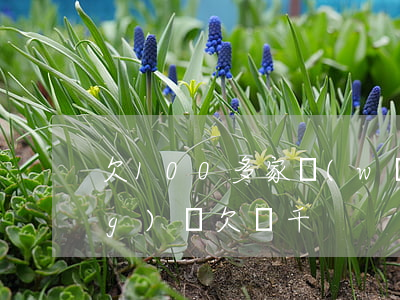欠100多家網(wǎng)貸(網(wǎng)貸欠幾千)
