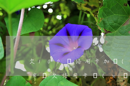 欠100萬信用卡加網(wǎng)貸會坐牢嗎(欠信用卡網(wǎng)貸100萬怎么判刑)