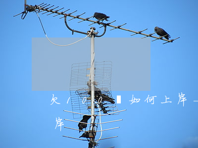 欠100萬如何上岸-欠了100萬如何上岸