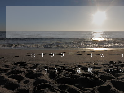 欠100萬網(wǎng)貸逾期(網(wǎng)貸逾期1000)