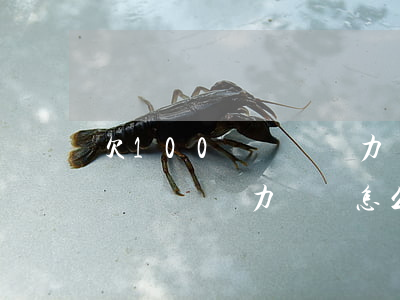 欠100萬網貸無力償還怎么辦-欠100萬網貸無力償還怎么辦呢