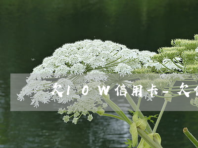 欠10W信用卡-欠信用卡10萬多嗎