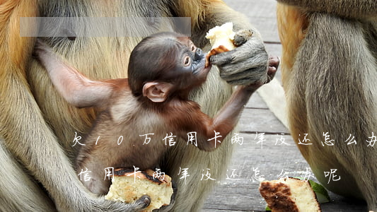 欠10万信用卡两年没还怎么办-欠10万信用卡两年没还怎么办呢