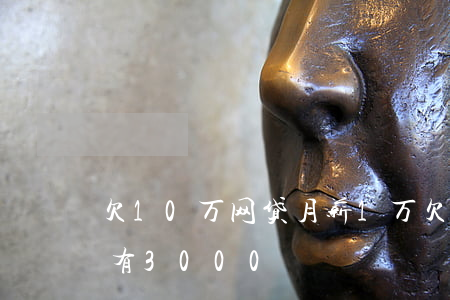 欠10万网贷月薪1万(欠网贷10w工资只有3000)