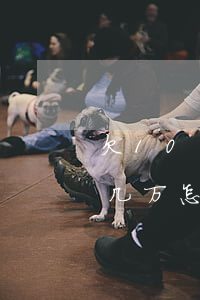 欠10多万网贷如何求助别人(网贷欠了10几万怎么跟家人说啊)