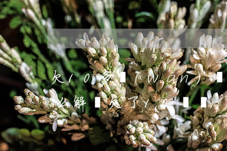 欠10多萬(wàn)網(wǎng)貸怎么解決(欠了10幾萬(wàn)網(wǎng)貸,怎么辦)