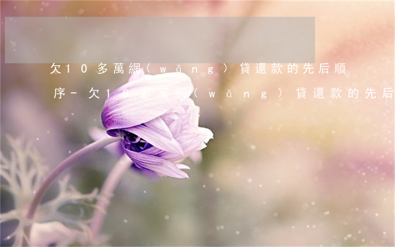 欠10多萬網(wǎng)貸還款的先后順序-欠10多萬網(wǎng)貸還款的先后順序是怎樣的