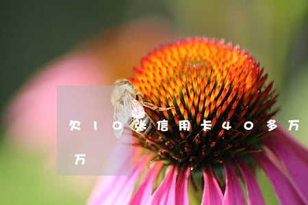 欠10张信用卡,40多万（欠十张信用卡14万）