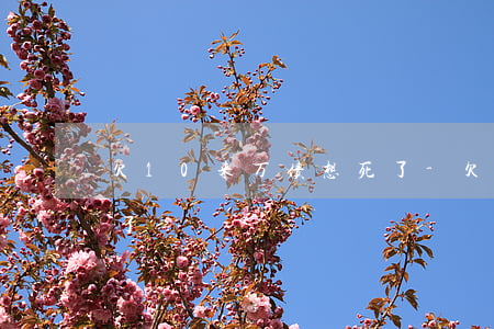 欠10来万债想死了-欠了十几万的债想死了