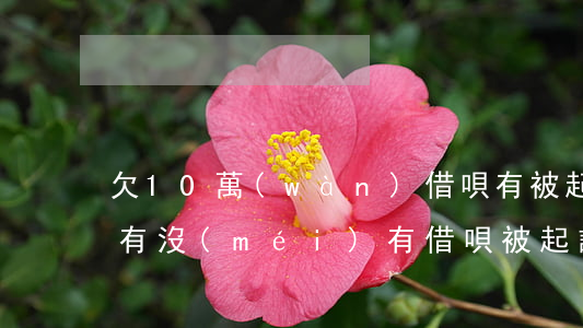 欠10萬(wàn)借唄有被起訴的案例嗎(有沒(méi)有借唄被起訴的案例)
