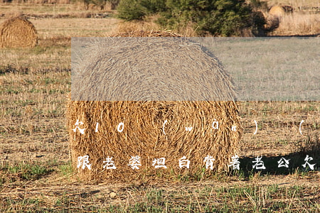 欠10萬(wàn)網(wǎng)貸怎么跟老婆坦白(背著老公欠了十幾萬(wàn)網(wǎng)貸怎么坦白)