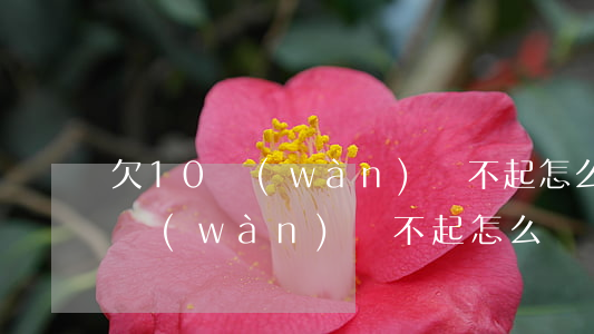 欠10萬(wàn)還不起怎么辦(欠朋友十萬(wàn)還不起怎么辦)