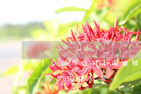欠10萬任性付不還會被起訴嗎-欠任性付一萬多法律后果