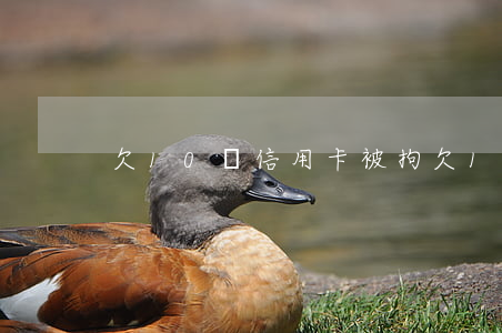 欠10萬信用卡被拘(欠10萬信用卡被拘)