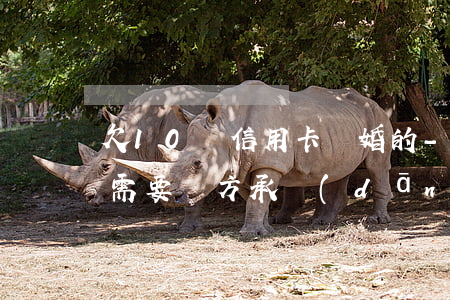 欠10萬信用卡離婚的-欠信用卡的錢離婚需要雙方承擔(dān)嗎?