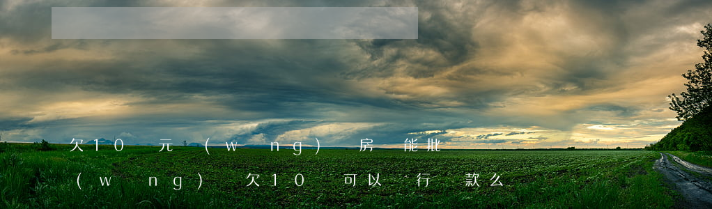 欠10萬元網(wǎng)貸房貸能批嗎(網(wǎng)貸欠10萬可以銀行貸款么)