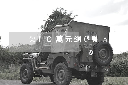 欠10萬元網(wǎng)貸該怎么辦