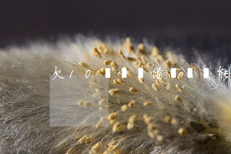 欠10萬螞蟻借唄錢沒能力還了-