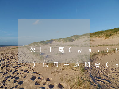 欠11萬(wàn)信用卡 11萬(wàn)信用卡逾期會(huì)坐牢嗎