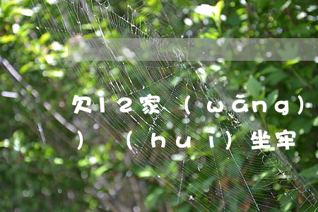 欠12家網(wǎng)貸20萬(wàn)會(huì)坐牢嗎(欠了十幾家網(wǎng)貸坐牢嗎?)