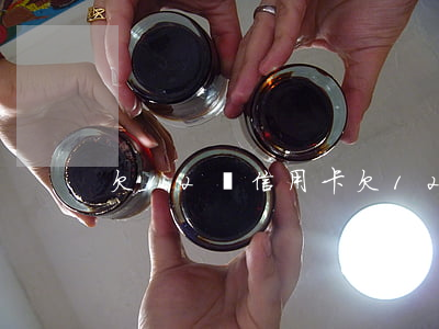 欠12萬信用卡(欠12萬信用卡,還能貸款嗎)