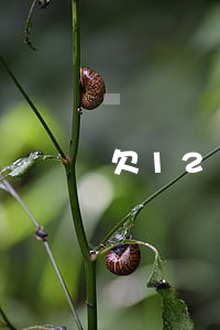 欠12萬網貸怎么跟家人老婆坦白-欠12萬網貸怎么跟家人老婆坦白呢