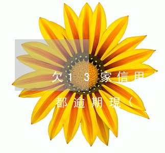 欠13家信用卡總額35萬逾期(5張信用卡都逾期,現(xiàn)在無力償還已有60萬)